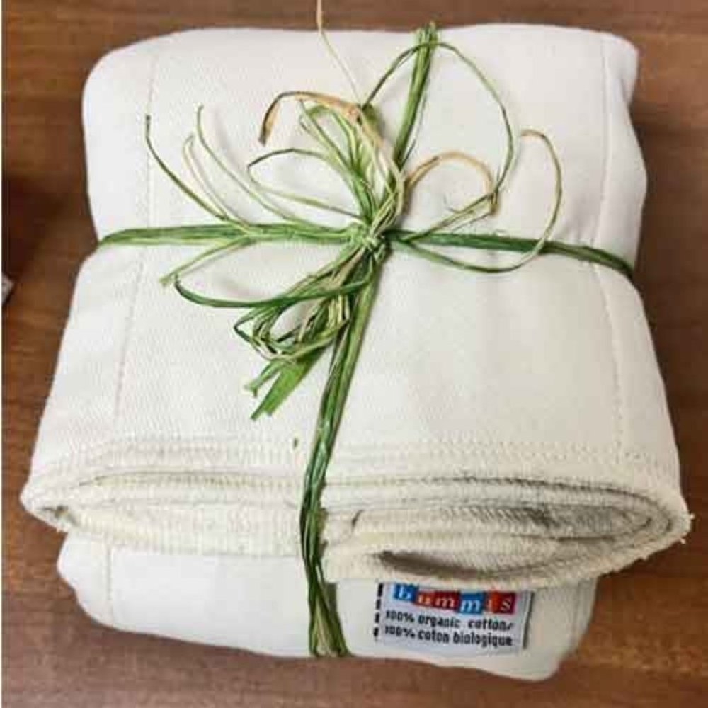 *SOLD* BUMMIS Pre-fold Organic Inserts (Diapers) Size Large